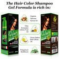 Lichen Herbal Hair Color Shampoo Gel With Pump 200ml, Your Best Hair Move - Gadget Savor